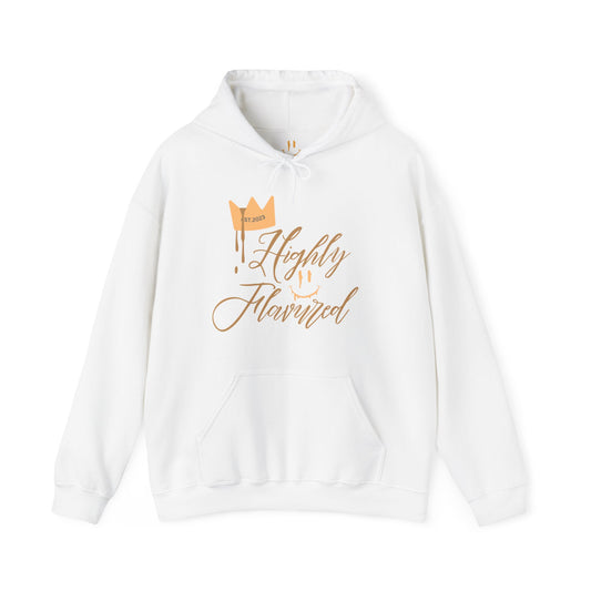 Air Jordan 4 Shimmer "Highly Flavured” Hooded Sweatshirt