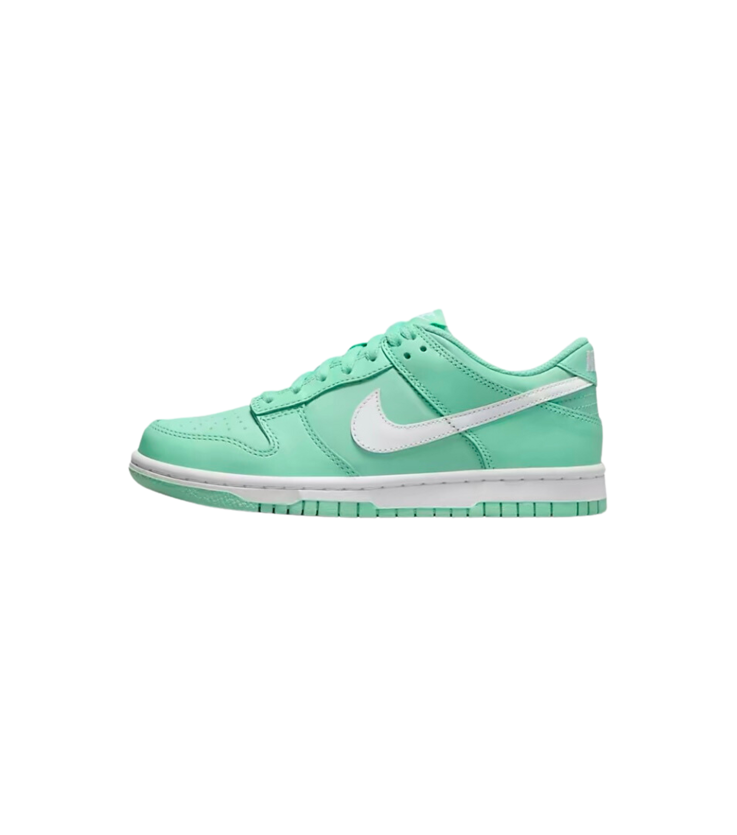 “Savory” Nike Dunk MINT Tee